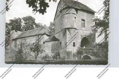 3490 BAD DRIBURG - DRINGENBERG, Burg, 1958