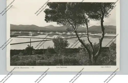 E 07830 SAINT JOSEP DE SA TALAI / Ibiza, Las Salinas