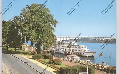 5300 BONN, Rheinufer, Anleger Köln-Düsseldorfer, MS "DRACHENFELS"