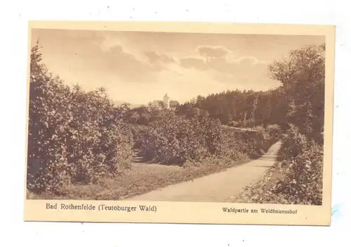 4502 BAD ROTHENFELDE, Waldpartie am Weidtmannshof