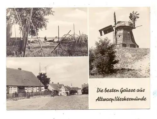 WINDMÜHLE / Molen / Mill - Altwarp