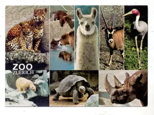 CH 8000 ZÜRICH ZH, Zoologischer Garten, Mehrbild-AK