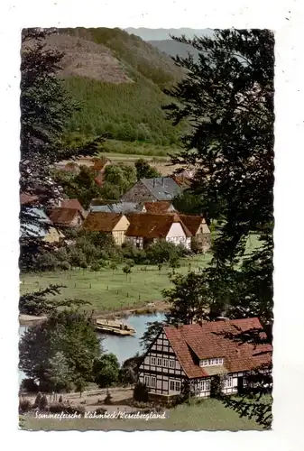 3417 BODENFELDE - WAHMBECK, Ortsansicht mit Weserfähre, 1962