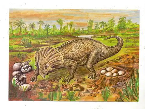 PRÄHISTORISCHE TIERE - PROTOCERATOPS