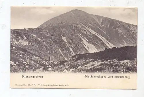 NIEDER - SCHLESIEN - SCHNEEKOPPE / SNEZKA, Blick vom Brunneberg, ca. 1905