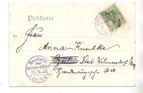 NIEDER - SCHLESIEN - NAUMBURG Bober - CHRISTIANSTADT, Lithographie, Bahnhof, Kirche, Schloss, Gesamtansicht