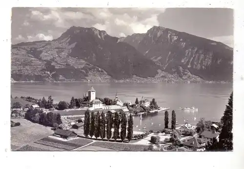 CH 3700 SPIEZ BE, Gesamtansicht mit Schloss und Hafen, Rothorn und Niederhorn