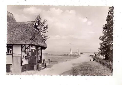 2844 LEMFÖRDE - HÜDE, Niedersachsenhaus am Dümmersee, 1955