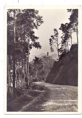 5300 BONN - BAD GODESBERG, Blick vom Pionierweg auf die Godesburg, Deutscher Kunst Verlag