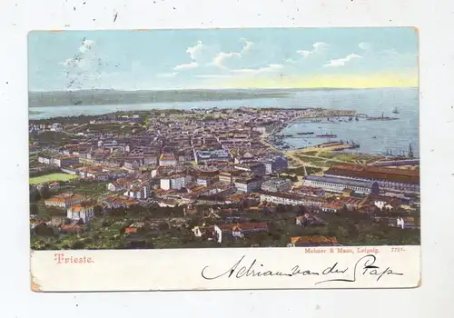I 34100 TRIESTE, Gesamtansicht, 1905, Edit. Mehner & Maas - Leipzig