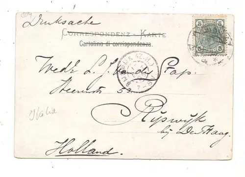 I 34100 TRIESTE, Gesamtansicht, 1905, Edit. Mehner & Maas - Leipzig