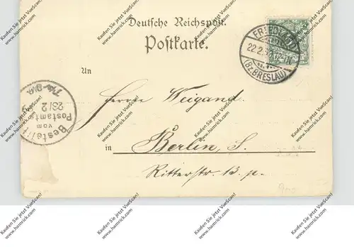 NIEDER-SCHLESIEN - FRIEDLAND / MIEROSZOW (Waldenburg), Lithographie 1899, Kath.Kirche, Kriegerdenkmal,...