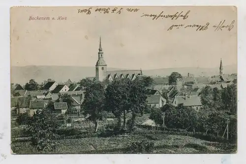3205 BOCKENEM, Blick auf Kirche und Umgebung, 1909
