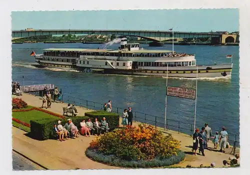 BINNENSCHIFFE - RHEIN, Köln-Düsseldorfer "CECILIE" vor Bonn