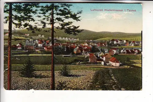 6272 NIEDERNHAUSEN, Panorama, 1919