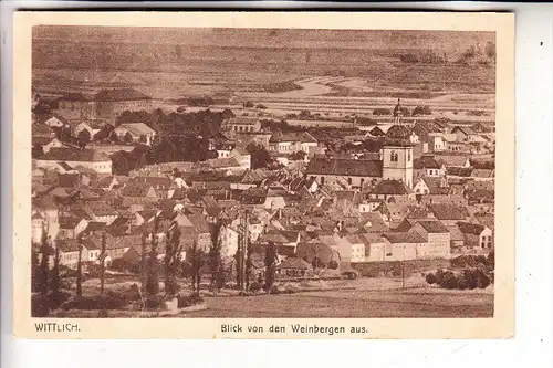 5560 WITTLICH, Blick von den Weinbergen aus, 1920