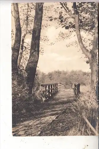 0-2383 PREROW/Darß, Brücke über den Strom, 1962