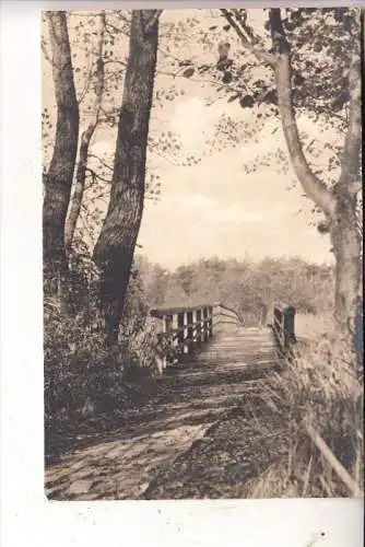 0-2383 PREROW / Darß, Brücke über den Strom, 1962