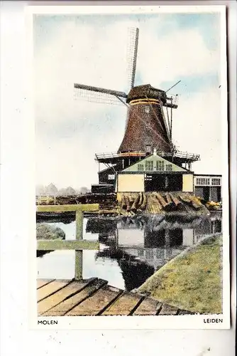 WINDMÜHLE / Mill / Molen / Moulin - LEIDEN / NL