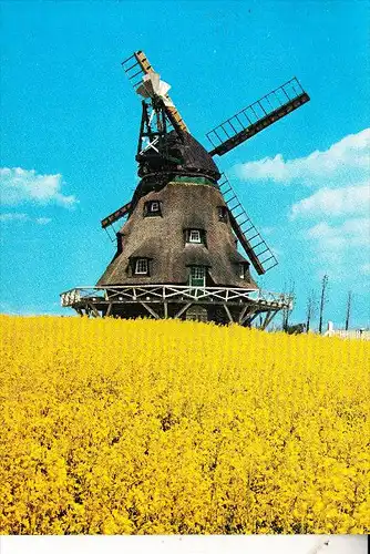 WINDMÜHLE / Mill / Molen / Moulin - OSTHOLSTEIN