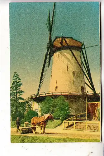 WINDMÜHLE / Mill / Molen / Moulin - KLOETINGE / NL