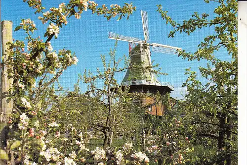 WINDMÜHLE / Mill / Molen / Moulin - TWIELENFLETH