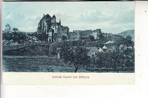 5520 BITBURG - HAMM, Schloß Hamm und Umgebung, 1917