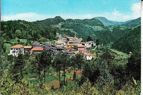 I 38040 MONTAGNAGA DI PINE, Panorama