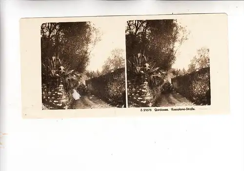 I 25088 TOSCOLANO, Lago die Garda, Strasse, Stereo-Photo