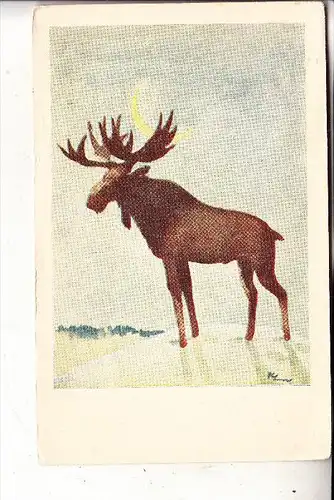 JAGD - HUNTING - JACHT - CHASSE - CACCIA - CAZA - LOWIECTWO - Künstler-Karte Elch / Moose / Elan / Eland / Elg