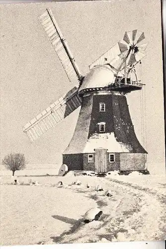 0-2500 ROSTOCK, Windmühle bei Rostock, 1957