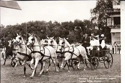 SPORT - REITSPORT - Gespannfahren, Imre Abonyi