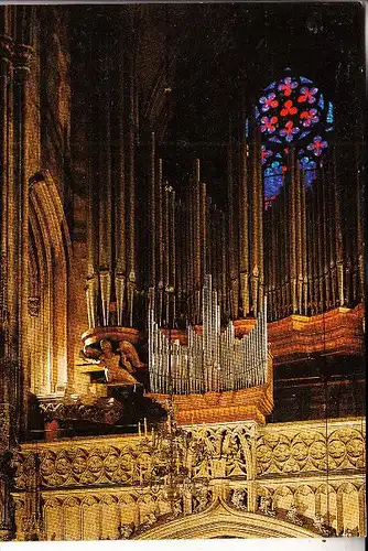 MUSIK - KIRCHENORGEL / Orgue / Organ / Organo - WIEN, Stephansdom