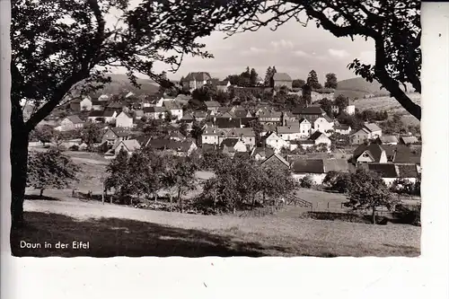 5568 DAUN, Ortsansicht