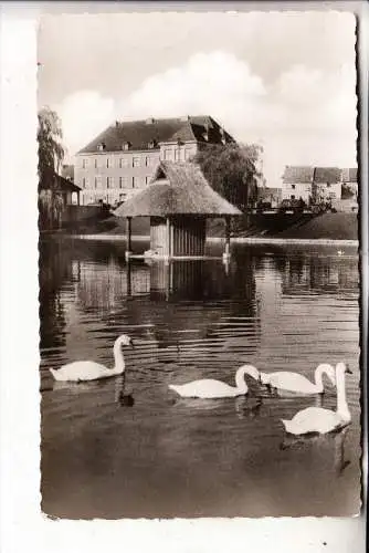 5170 JÜLICH, Schwanenteich, 1960