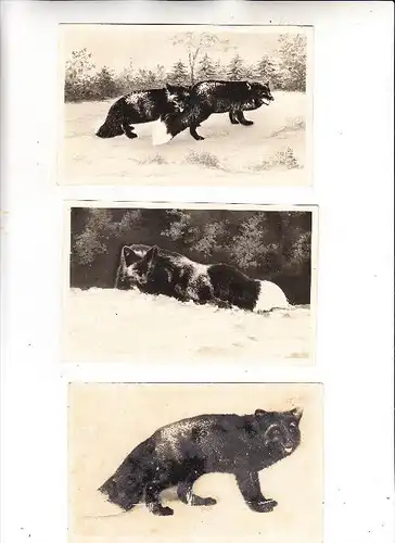 F 68590 THANNENKIRCH, `3 AK Silberfuchsfarm