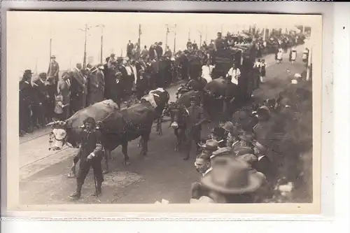 5330 KÖNIGSWINTER, Umzug zur 1000-Jahr Feier der Rheinlande, 1925, Winzerfreunde, Photo-AK