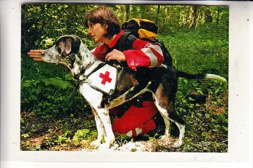 ROTES KREUZ / Red Cross / Croix Rouge - DRK Ausbildung Hundestaffel, Photo