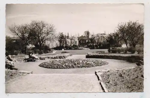 5450 NEUWIED, Carmen - Sylva - Garten, 1960