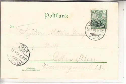 4630 BOCHUM - WEITMAR, Gruss aus.. Lithographie, 1901, Waldesruh, Haus Weitmar, Linden, Panorama v. Waldesruh