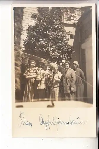 I 38066 RIVA del Garda, Apfelsinenbaum, Photo-AK