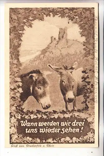 5330 KÖNIGSWINTER, Drachenfels, Esel, 1928