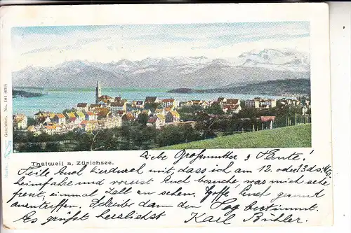 CH 8800 THALWIL, Panorama, 1901