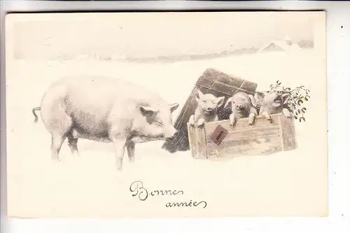 NEUJAHR - Künstler-Karte 1921, Brüder Kohn, Wien - Schweine / Pigs / Porcs / Cerods / Varkens / Maiali