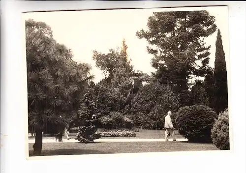 I 28838 STRESA - ISOLA BELLA, Photo 12,5 x 17,5 cm, 1954