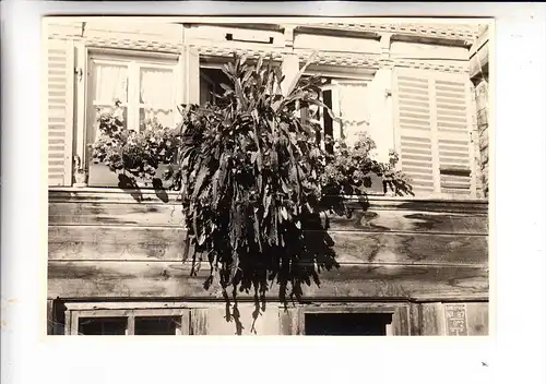 CH 3800 INTERLAKEN BE, 2 Photos 12,5 x 16,5 cm, Panorama & Hausansicht mit Blumenschmuck, 1954