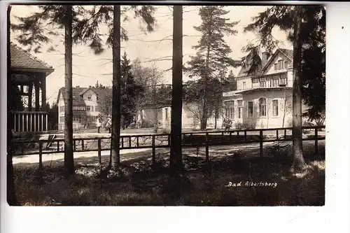 0-9700 AUERBACH - ALBERTSBERG, Ortsansicht, 1929