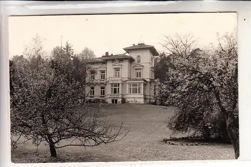 2410 MÖLLN, Photo-AK, Einzelhaus, 1967