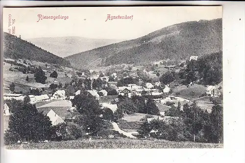 NIEDER-SCHLESIEN - AGNETENDORF / JAGNIATKOW, Panorama, 1907
