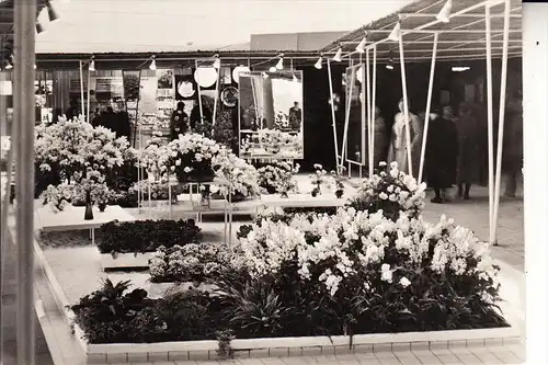 0-5000 ERFURT, 1. Internationale Gartenbauausstellung, 1961, Sonderstempel